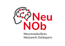Logo Neurovaskuläres Netzwerk Ostbayern (NeuNOb | UKR)