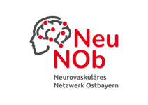 Logo Neurovaskuläres Netzwerk Ostbayern (NeuNOb | UKR)