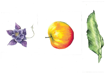 Naturminiaturen (c) Eva Achatz