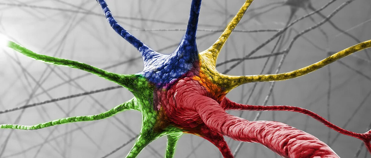 Nervenzelle (ktdesign/Shutterstock)