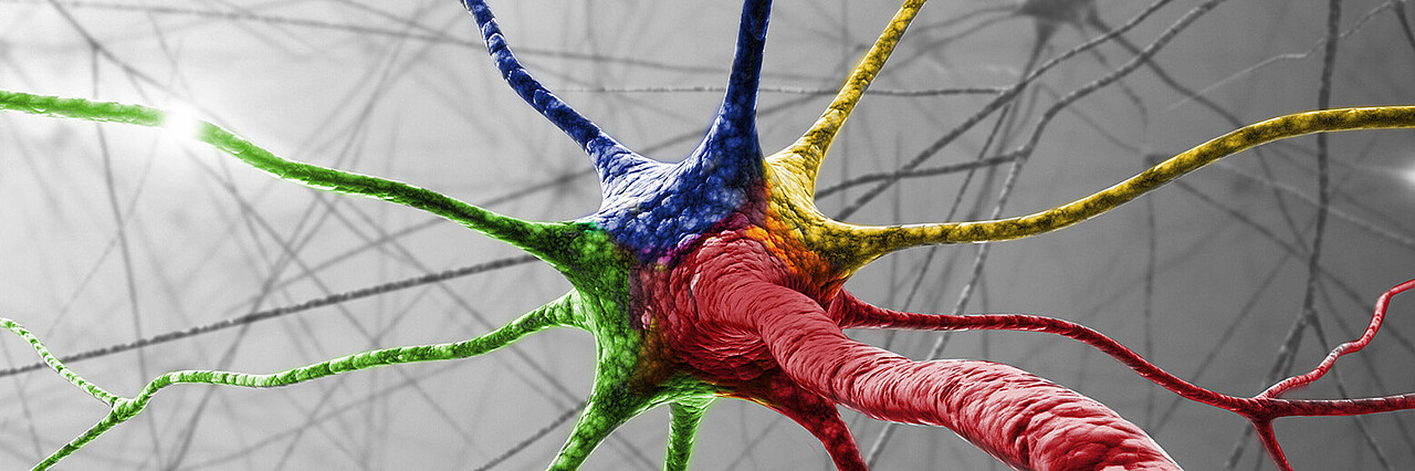 Nervenzelle (ktdesign/Shutterstock)