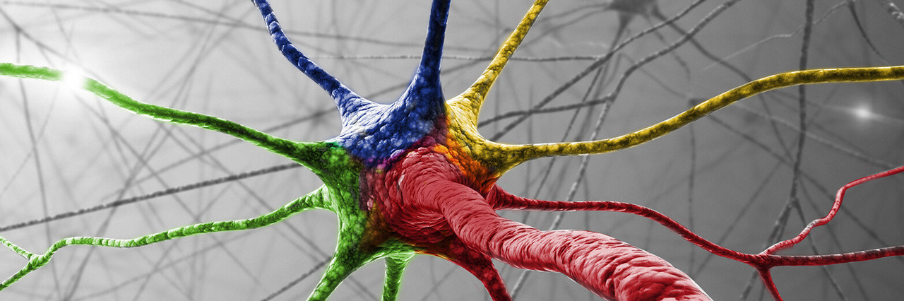 Nervenzelle (ktdesign/Shutterstock)