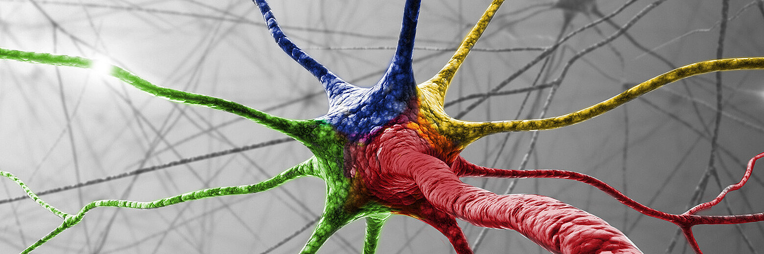 Nervenzelle (ktdesign/Shutterstock)