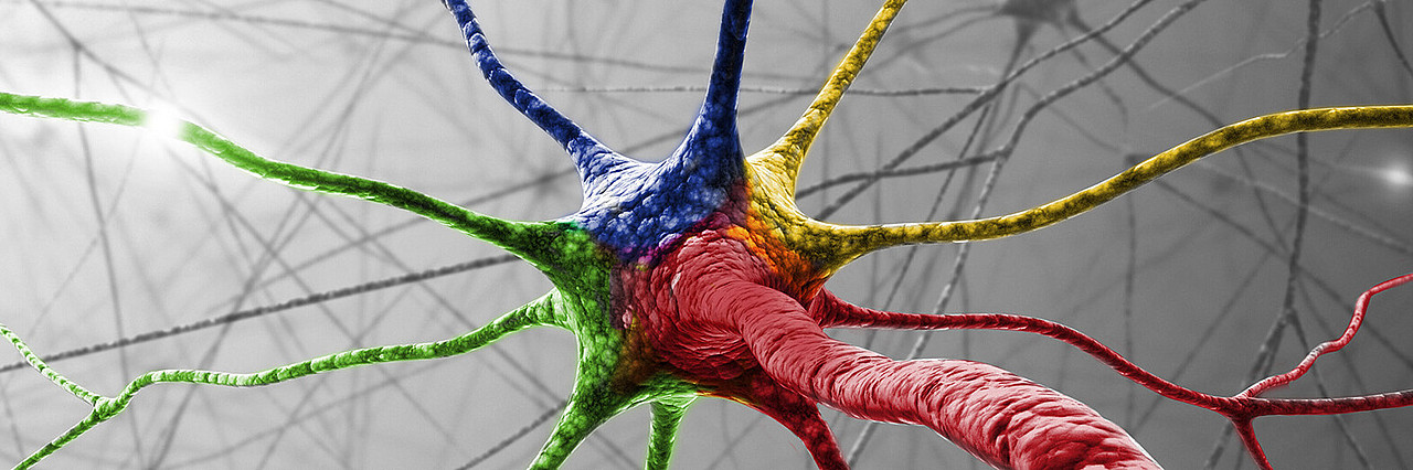 Nervenzelle (ktdesign/Shutterstock)