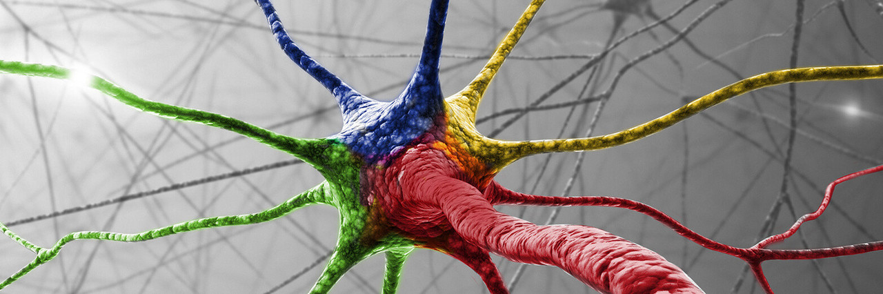 Nervenzelle (ktdesign/Shutterstock)