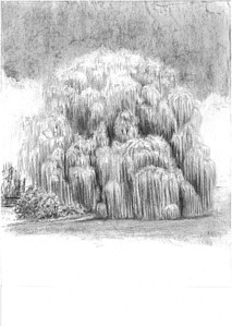 26 (Johannes Tomahogh)