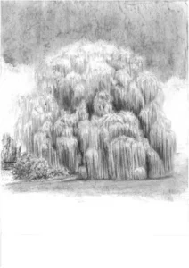 26 (Johannes Tomahogh)
