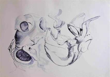 2 (Johannes Tomahogh)