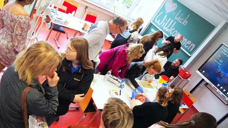 Das sieht man nicht alle Tage: Im Themenraum Medizin sezierte das Schulteam mit den Besucher:innen echte Schweineorgane, wie Leber, Lunge oder Augen.