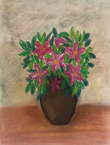 Rosa Veilchen (Dorina Sonnensperger)