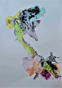 6 (Johannes Tomahogh)