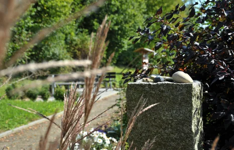 Sinnesgarten Wöllershof (Frank Hübler/medbo)