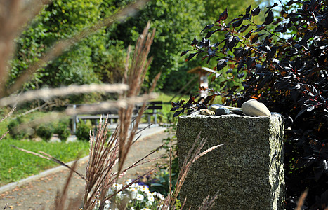 Sinnesgarten Wöllershof (Frank Hübler/medbo)