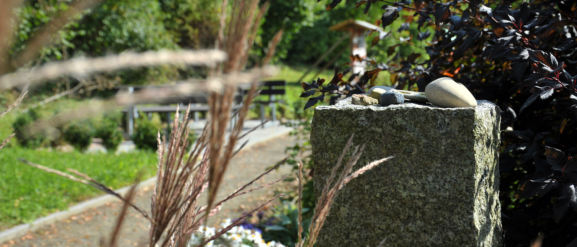 Sinnesgarten Wöllershof (Frank Hübler/medbo)