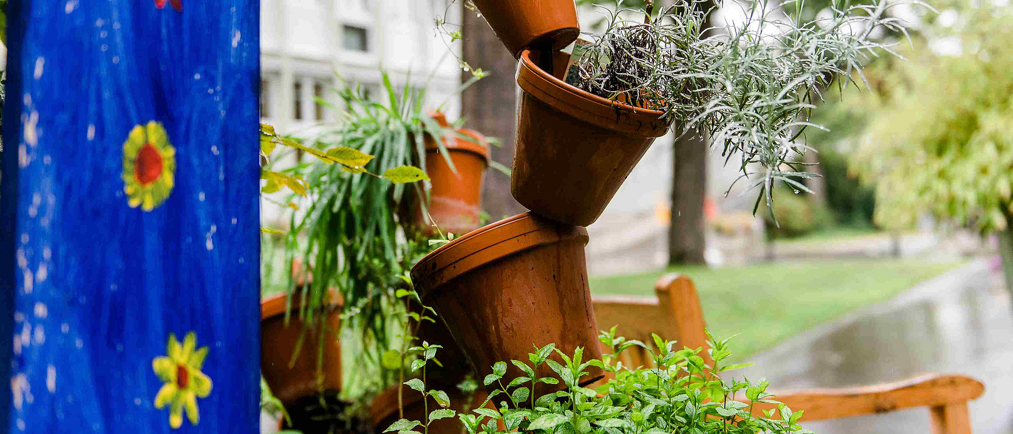 Gartenansicht PIT Regensburg (Frank Hübler | medbo)