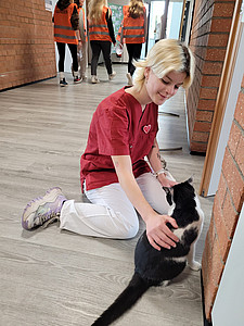 Schulkatze_medbo Pflegeschulen