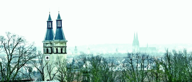 Panorama St. Vitus Dom Regensburg (Werner Bauer)
