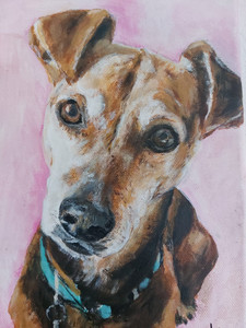 Hund (c) Karin Achatz