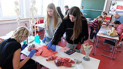 Sezieren einer Lunge am Tag der offenen Tür der medbo Pflegeschulen