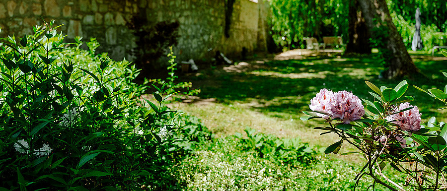 Neurologisches Spezialpflegeheim Regensburg - Garten (Frank Hübler | medbo)