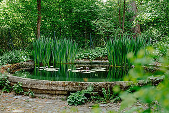 Psychiatrische Tagesklinik HAUS 13 BKR Garten (Frank Hübler | medbo)