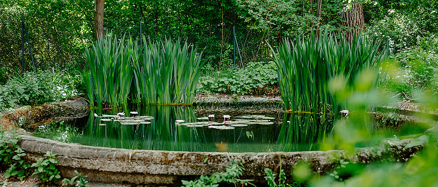 Psychiatrische Tagesklinik HAUS 13 BKR Garten (Frank Hübler | medbo)