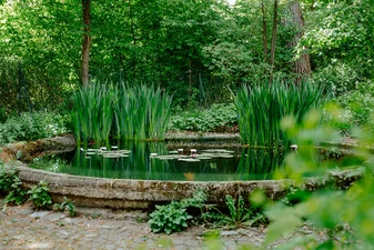 Psychiatrische Tagesklinik HAUS 13 BKR Garten (Frank Hübler | medbo)