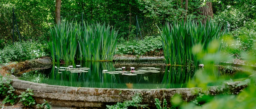 Psychiatrische Tagesklinik HAUS 13 BKR Garten (Frank Hübler | medbo)