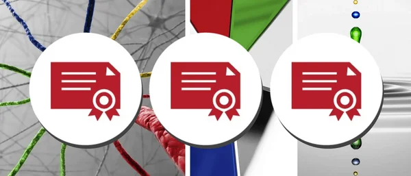 Drei Bereiche der medbo in FOCUS Klinikliste 2027 genannt