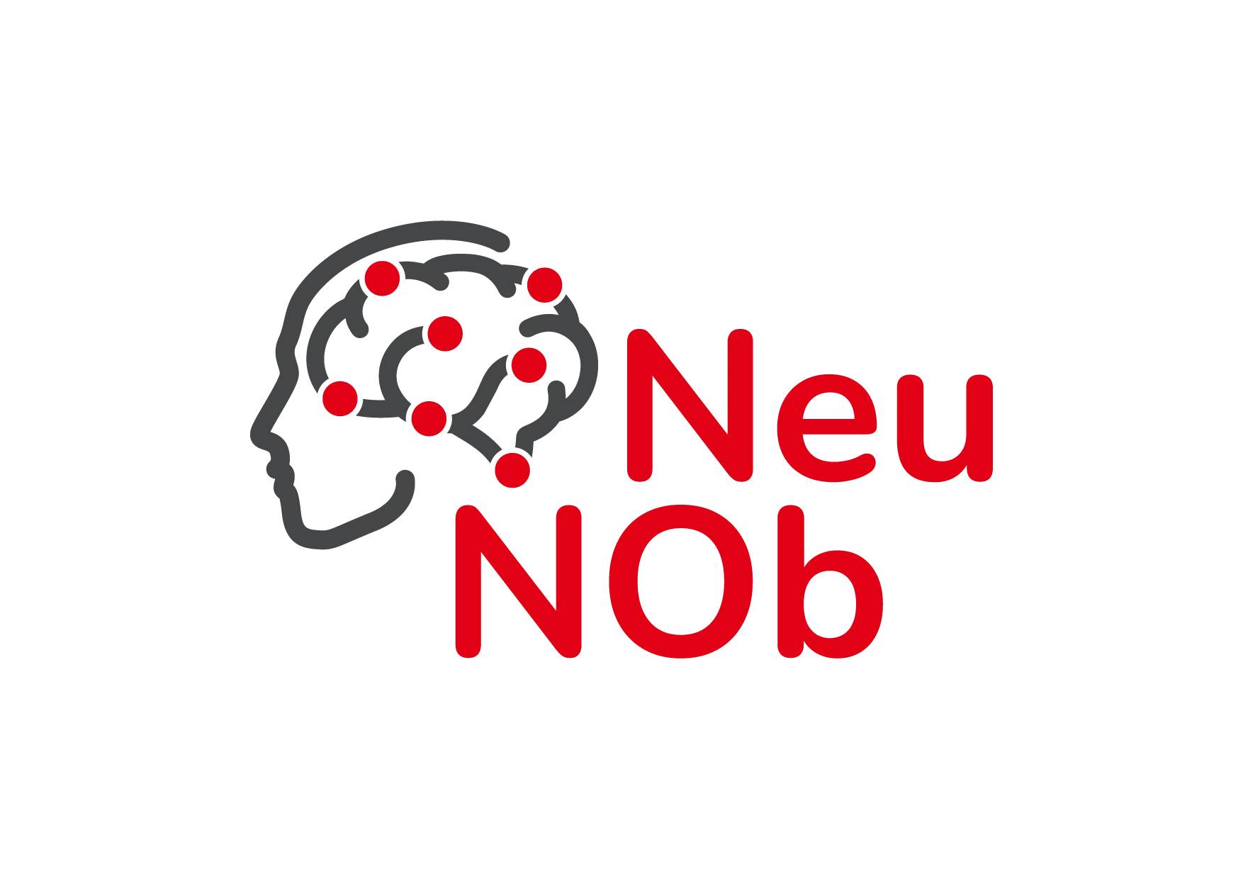 Logo Neurovaskuläres Netzwerk Ostbayern (NeuNOb | UKR)