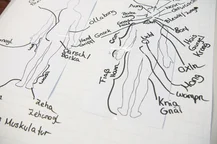 Mithilfe dieser Zeichnung werden anatomische Begriffe auf Bairisch erklärt