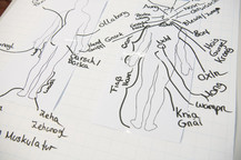 Mithilfe dieser Zeichnung werden anatomische Begriffe auf Bairisch erklärt