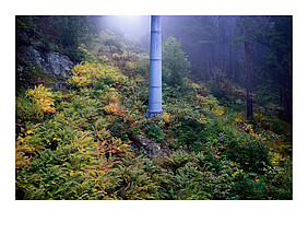 Realitäten 1 - Schneise (Katharina Tenberge-Holzer)