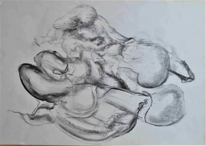3 (Johannes Tomahogh)