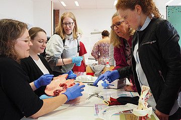 Themenraum Medizin und Sezieren