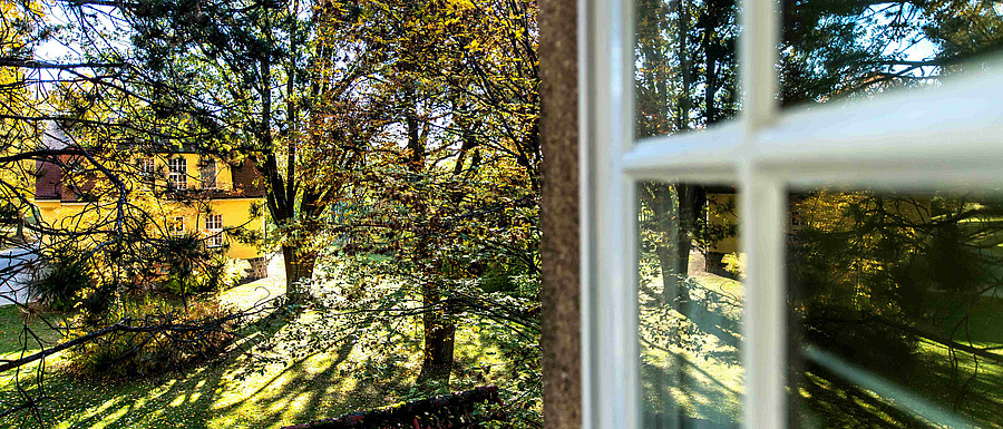 Ausblick vom psychiatrischen Pflegeheim HAUS 8 Wöllershof in den Park (Frank Hübler | medbo)