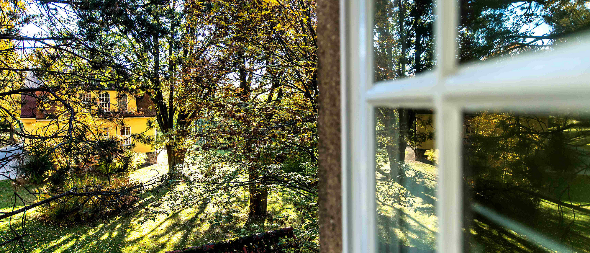 Ausblick vom psychiatrischen Pflegeheim HAUS 8 Wöllershof in den Park (Frank Hübler | medbo)