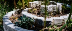 Gartendetail Altersmedizin medbo Regensburg (Frank Hübler | medbo)